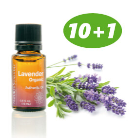 Essential Oil - Lavender 10 +1
